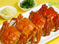 姜堰簖蟹是哪里的特产？