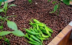 漳州生物陶粒 种植景观陶粒