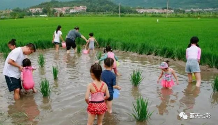 50种极火爆的亲子农场体验项目