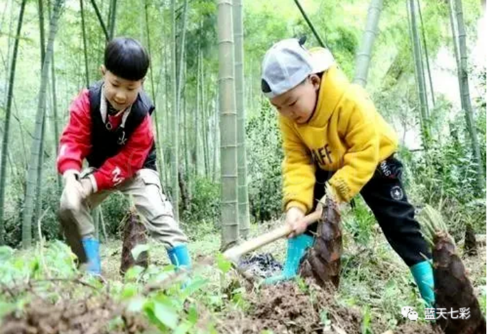 50种极火爆的亲子农场体验项目