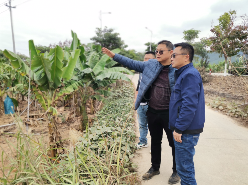 福建南靖沼液生态转化产业一体化示范园区现场考察调研和规划设计