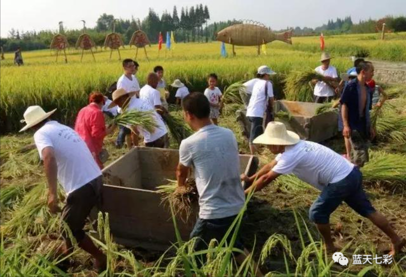 发展休闲农业，如何巧妙地利用当地资源？