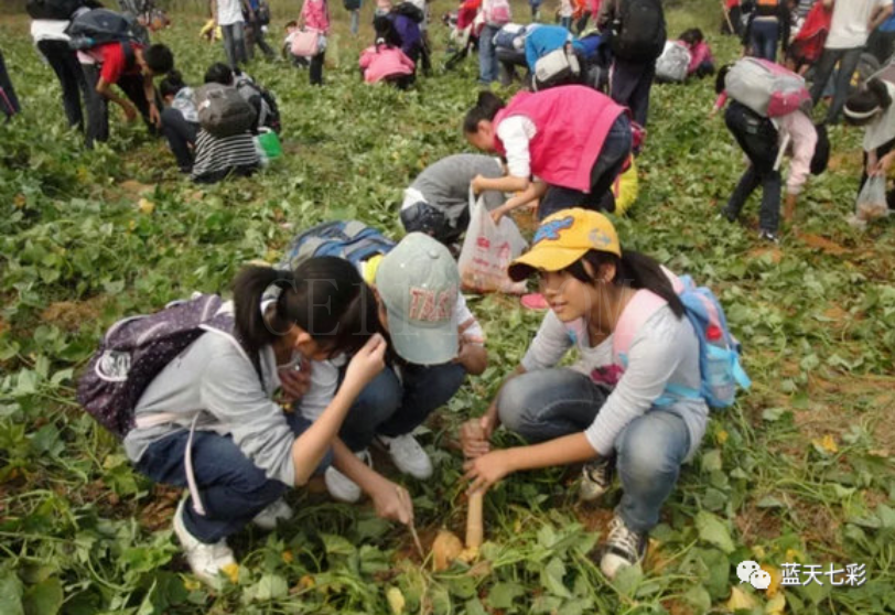 发展休闲农业，如何巧妙地利用当地资源？