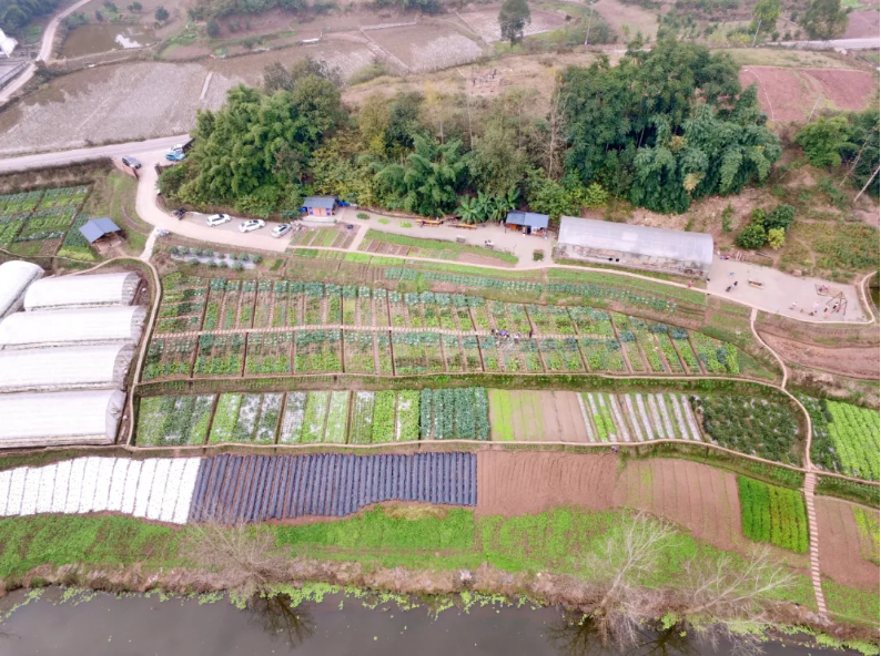 如何运用农庄受限的土地，打造成网红打卡基地！