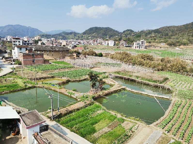 2021.3.27福建龙岩休闲农业综合体实地考察与前期调研