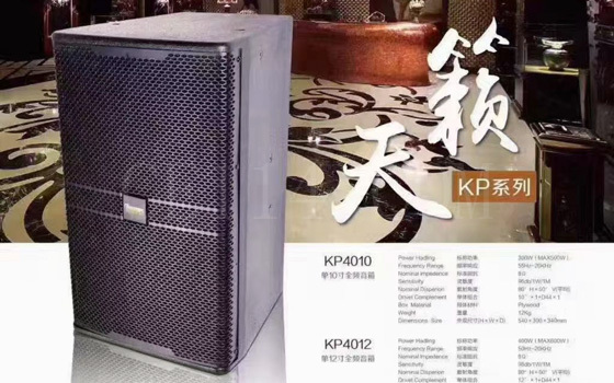 KP系列专业箱_龙岩客厅音响