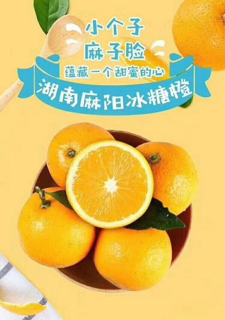 麻阳冰糖橙的价格