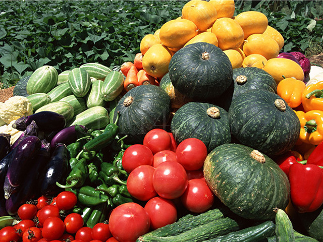 长汀百绿生态农业家庭农场小编分享，有机蔬菜和普通蔬菜的区别知识
