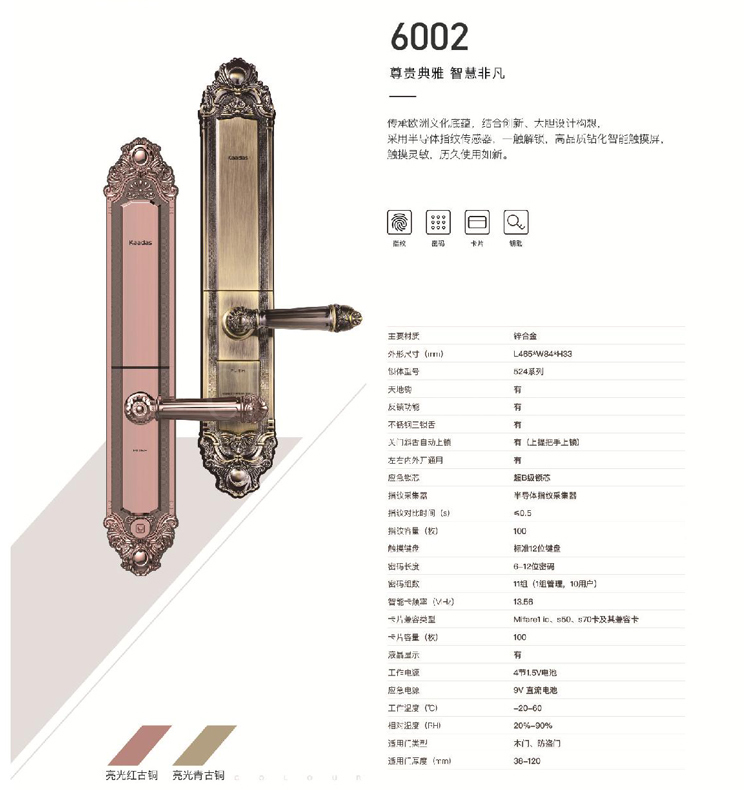 漳州指纹锁6002